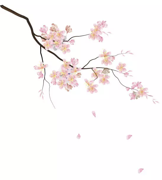 1479911379425242.png L0`D@IREUK[AP8Y2`[U1SOX.png