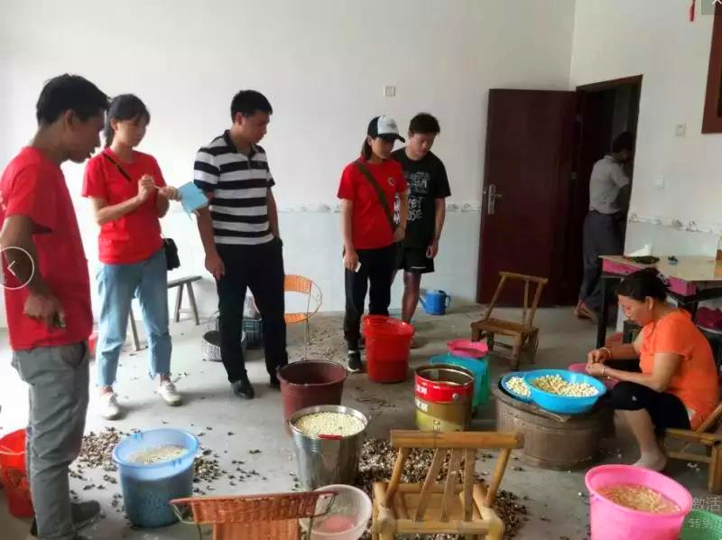 1533958907335556.jpg 微信图片_20180811114212_副本.jpg